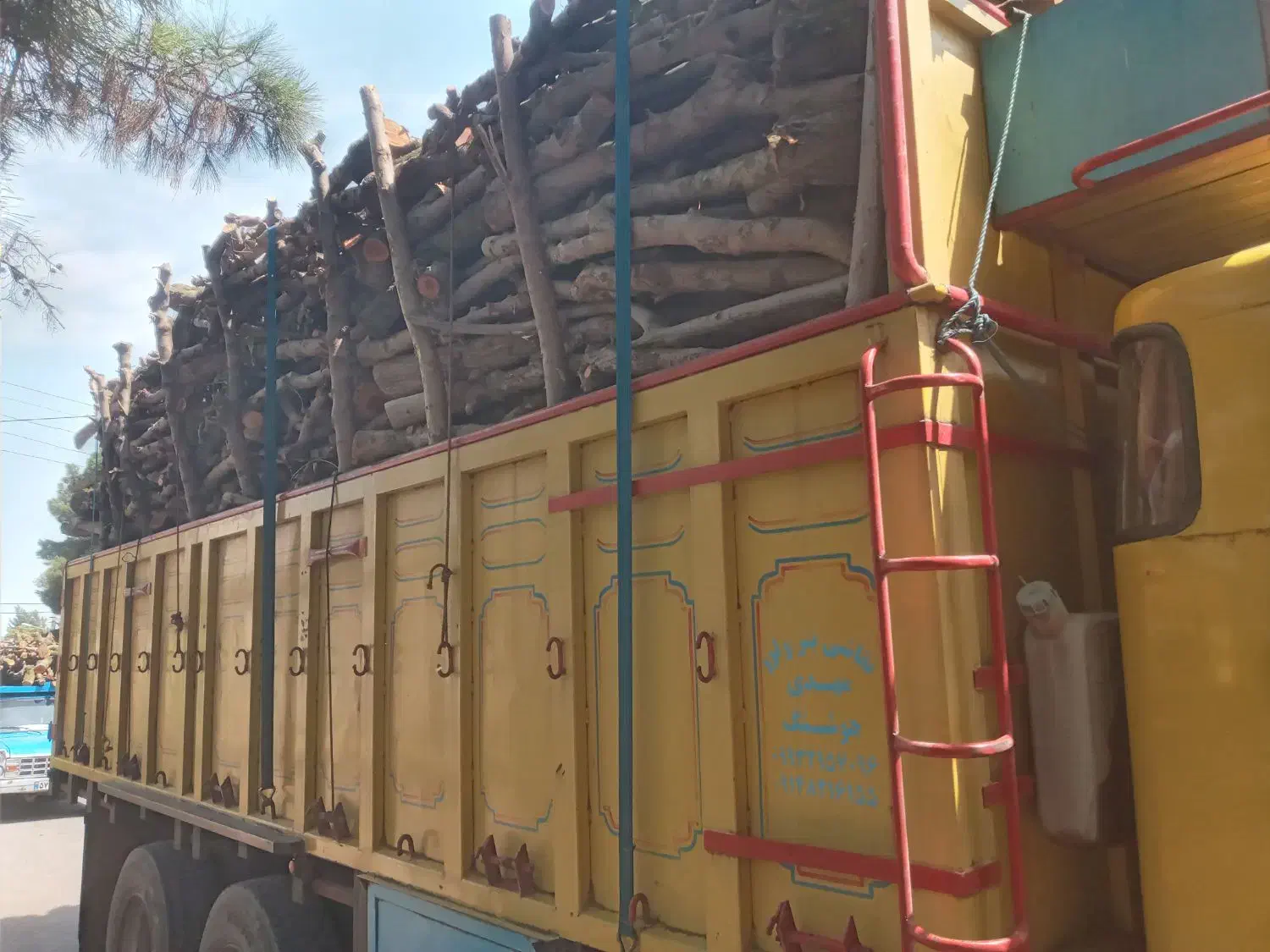 خریدار انواع چوب|خدمات باغبانی و درختکاری|پارس‌آباد, |دیوار