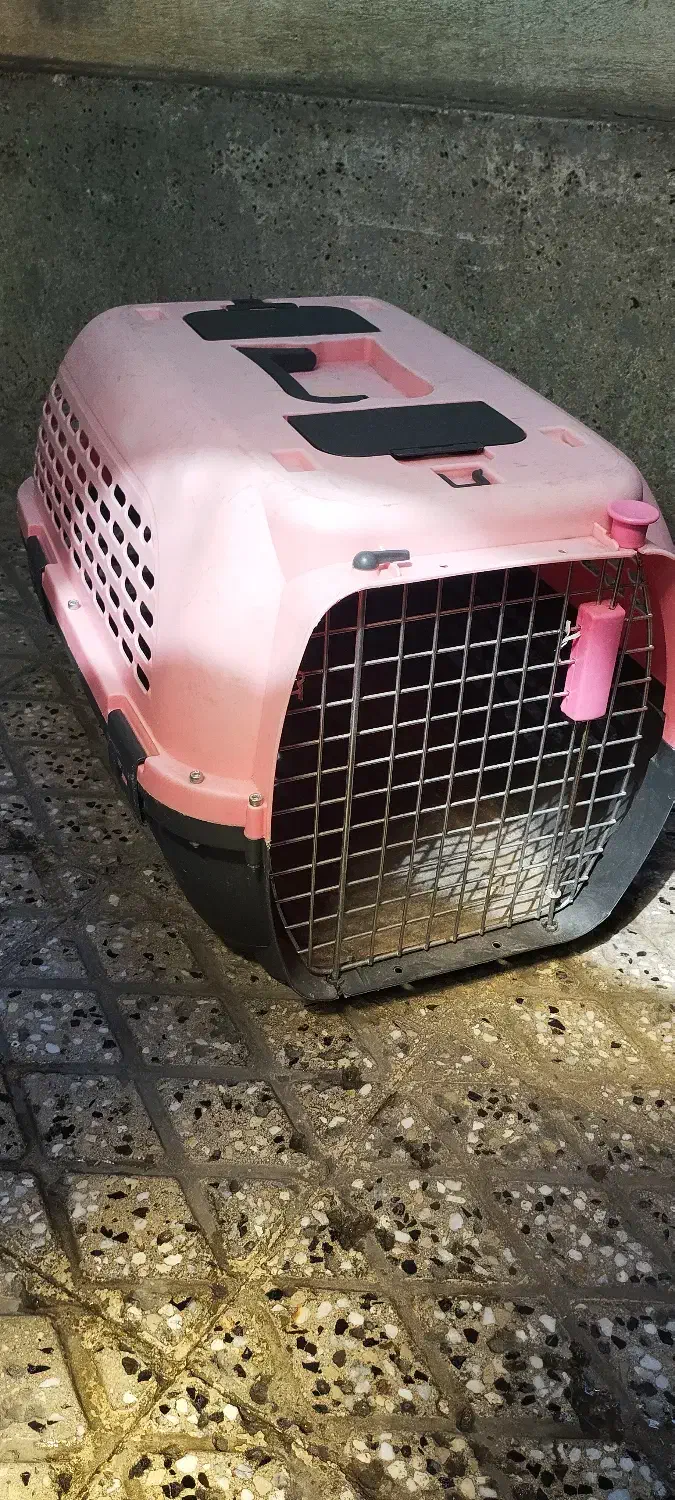 باکس حیوان خانگی|لوازم جانبی حیوانات|تهران, بازار|دیوار