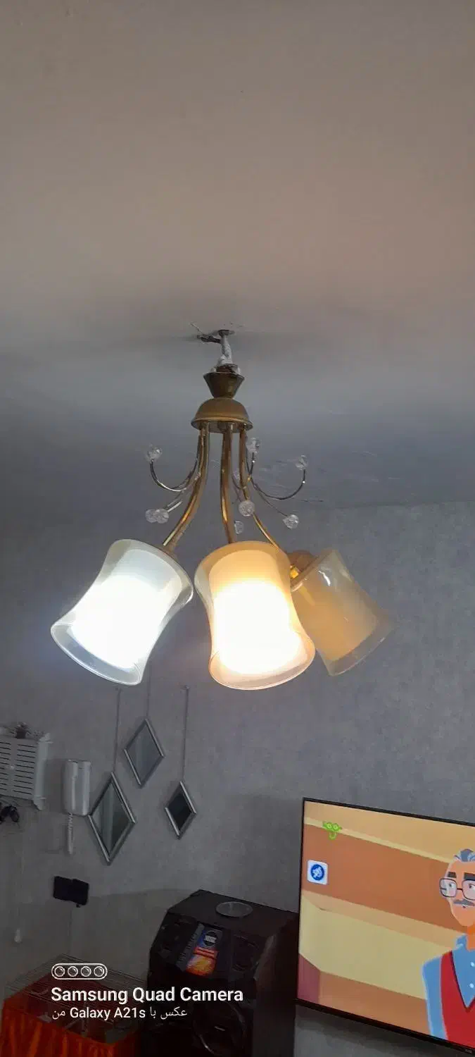 لوسترشاخه ای درحد|لوستر و چراغ آویز|فردیس, شهرک ۱۱۰|دیوار