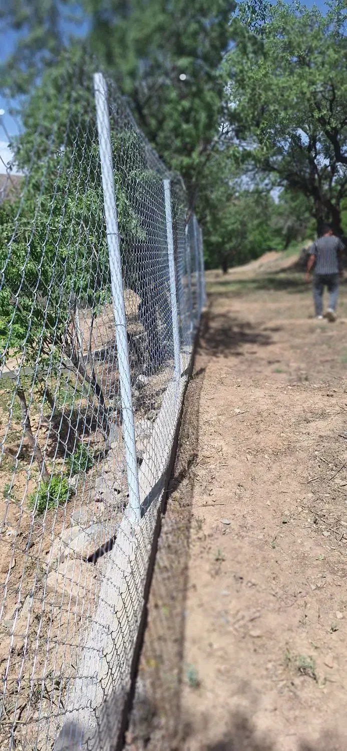 اجاره زمین کشاورزی روستای زیبای مرق|اجارهٔ کوتاه‌مدت ویلا و باغ|برزک, |دیوار