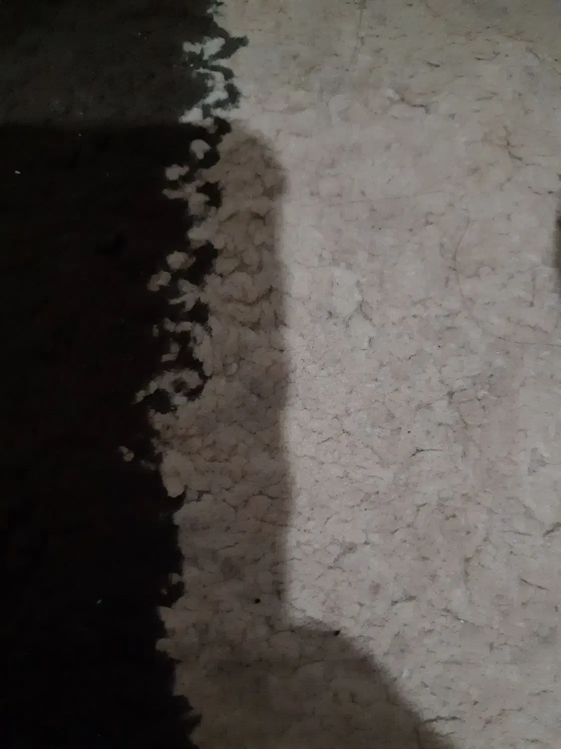 راهنمایی|فعالیت داوطلبانه|نیشابور, گمنام غربی|دیوار