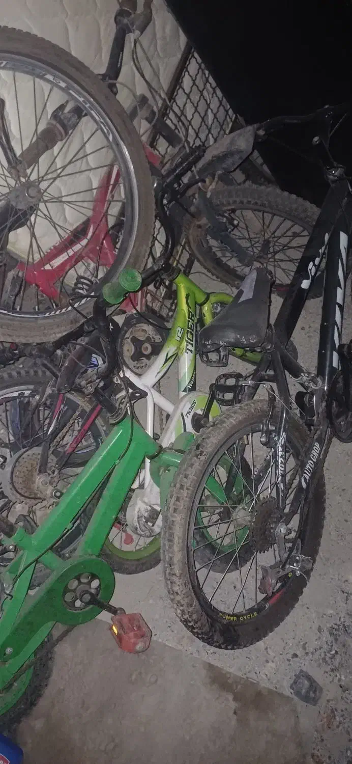 فروش تعداد دوچرخه در هر سایزی یک جا|دوچرخه، اسکیت، اسکوتر|رباطکریم, الارد|دیوار