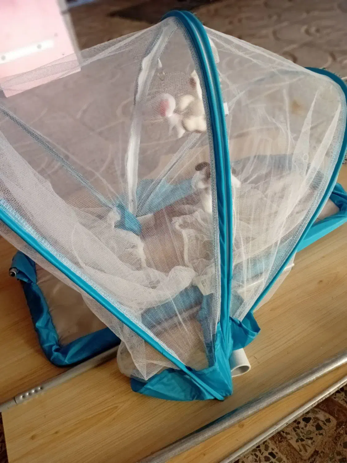 فرش اتاق کودک و پشه بند|فرش|محمدیه-قزوین, |دیوار