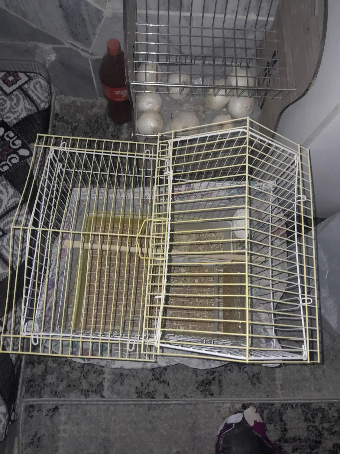 قفس پرنده بزرگ|لوازم جانبی حیوانات|فردیس, فردیس|دیوار