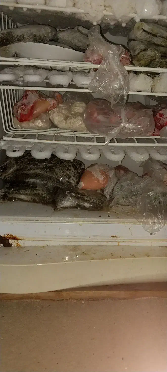 یخچال|یخچال و فریزر|ماکو, |دیوار