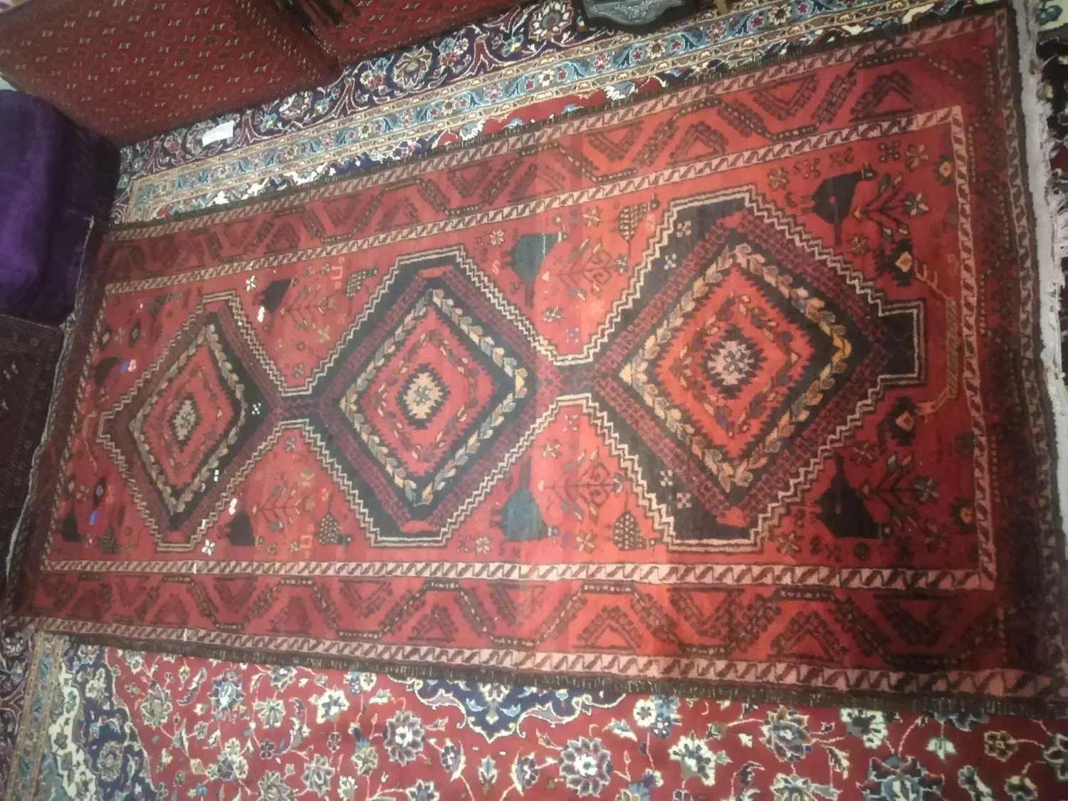 فرش دستباف سالم|فرش|بیرجند, |دیوار