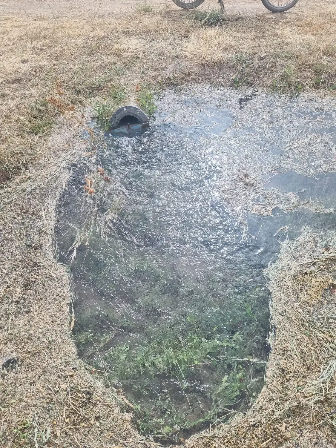 فروش ۲.۵ حبه اب همراه زمین پسته ای|فروش دفتر صنعتی، کشاورزی، تجاری|ماهان, |دیوار