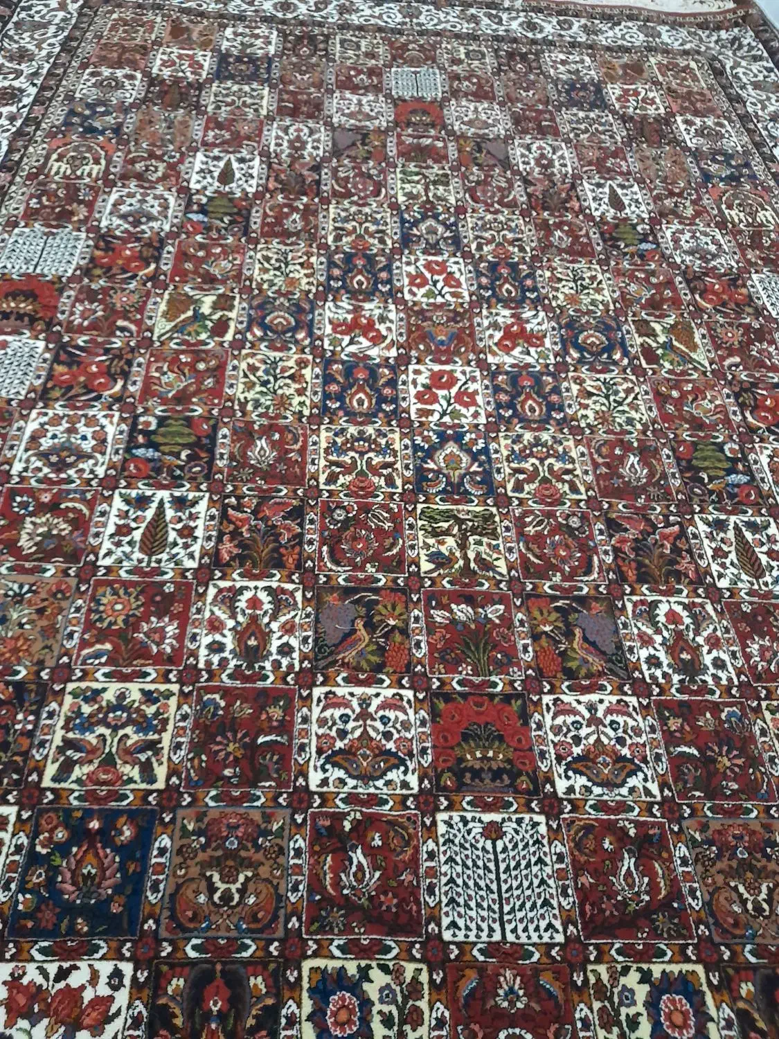 قالی دست باف 12متری.(3/4)|فرش|شهرکرد, |دیوار