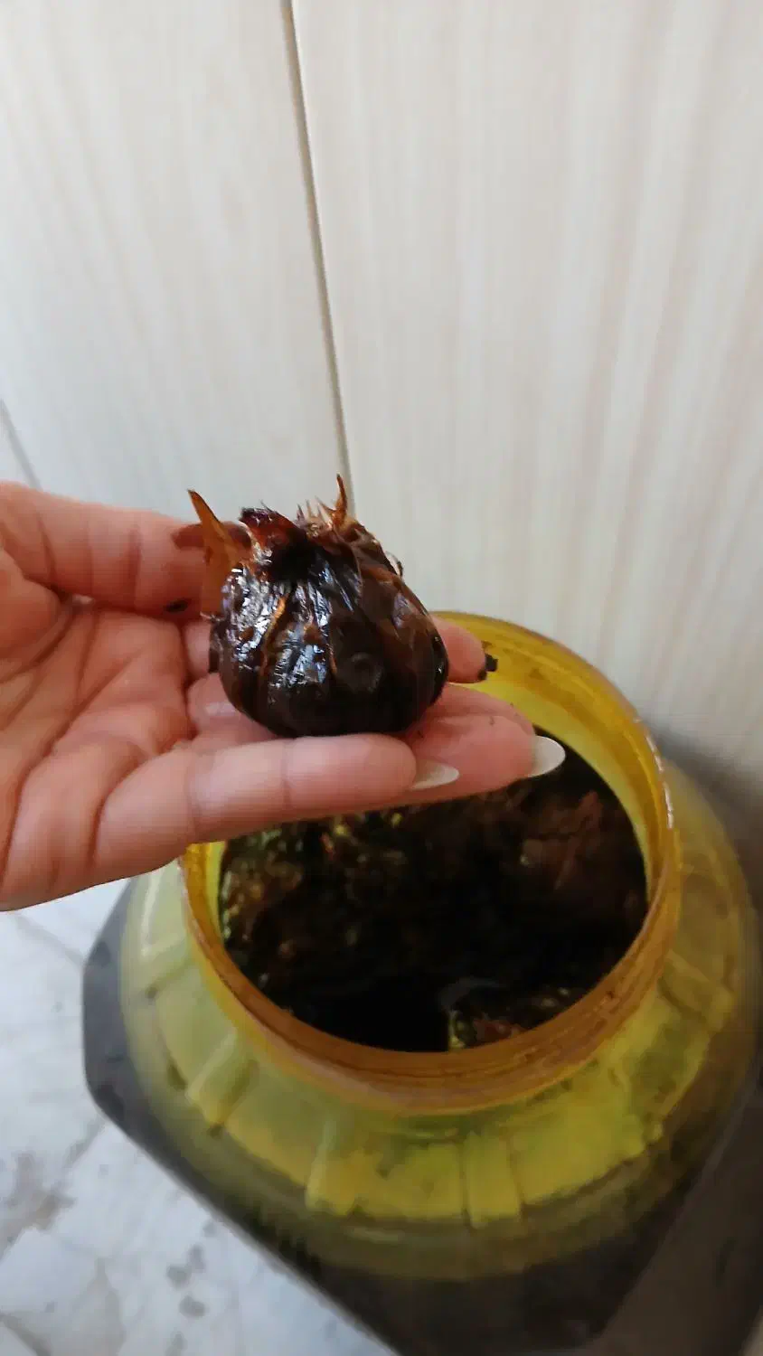 ترشی سیر ۱۰ ساله|خوردنی و آشامیدنی|تربت‌حیدریه, شهرک ولیعصر|دیوار