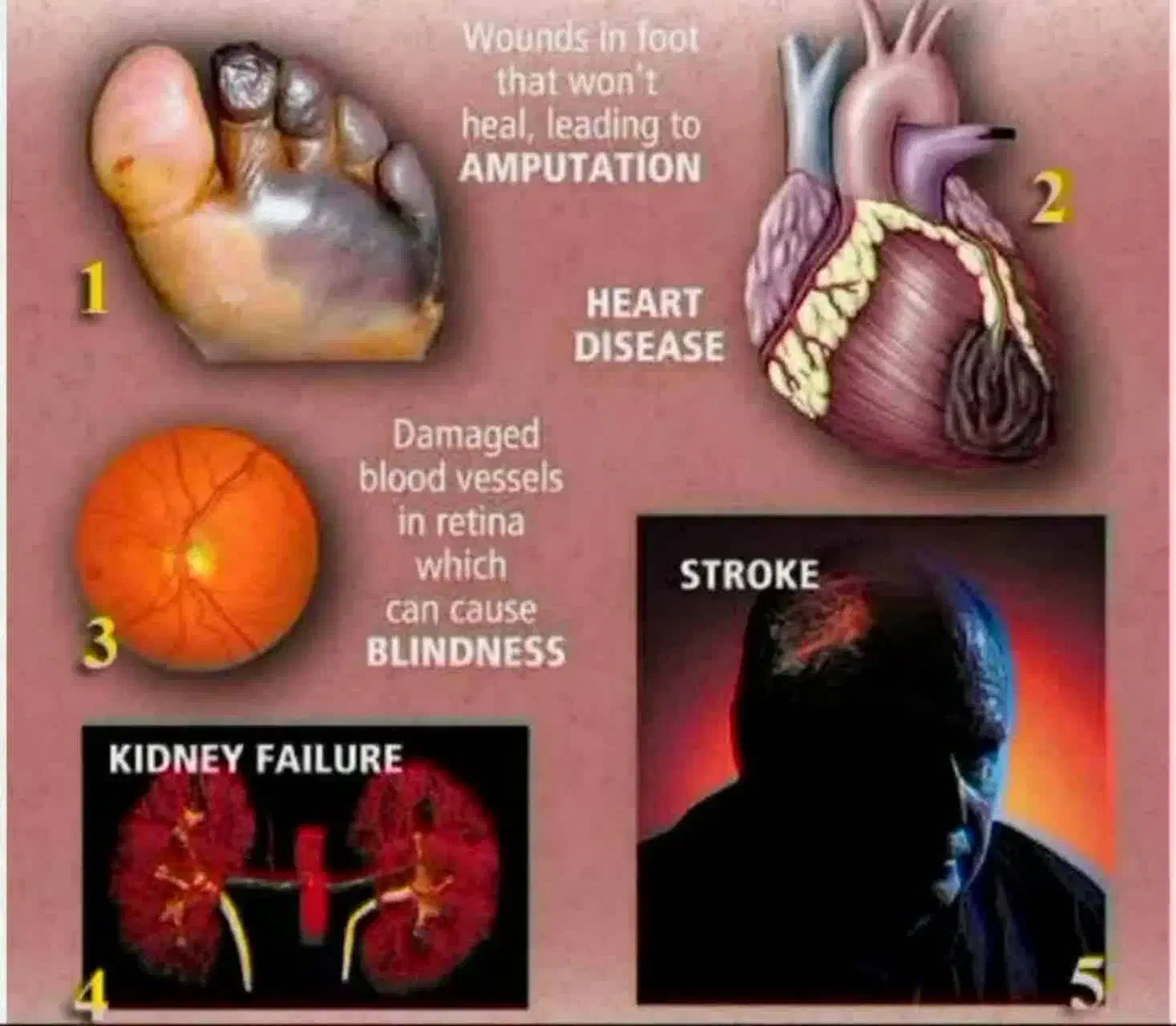 درمان دیابت به روش نوین|خوردنی و آشامیدنی|مشهد, مصلی (کارمندان اول)|دیوار