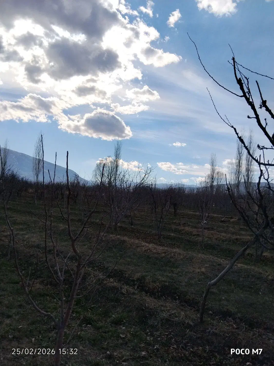 باغچه|فروش زمین و ملک کلنگی|انزل, |دیوار