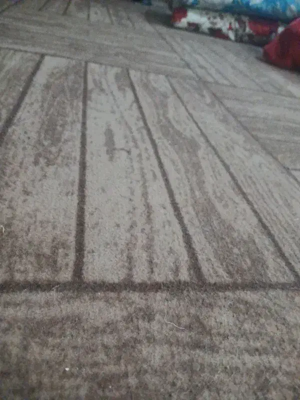 موکت در حدنو فرش 12|موکت|تبریز, |دیوار