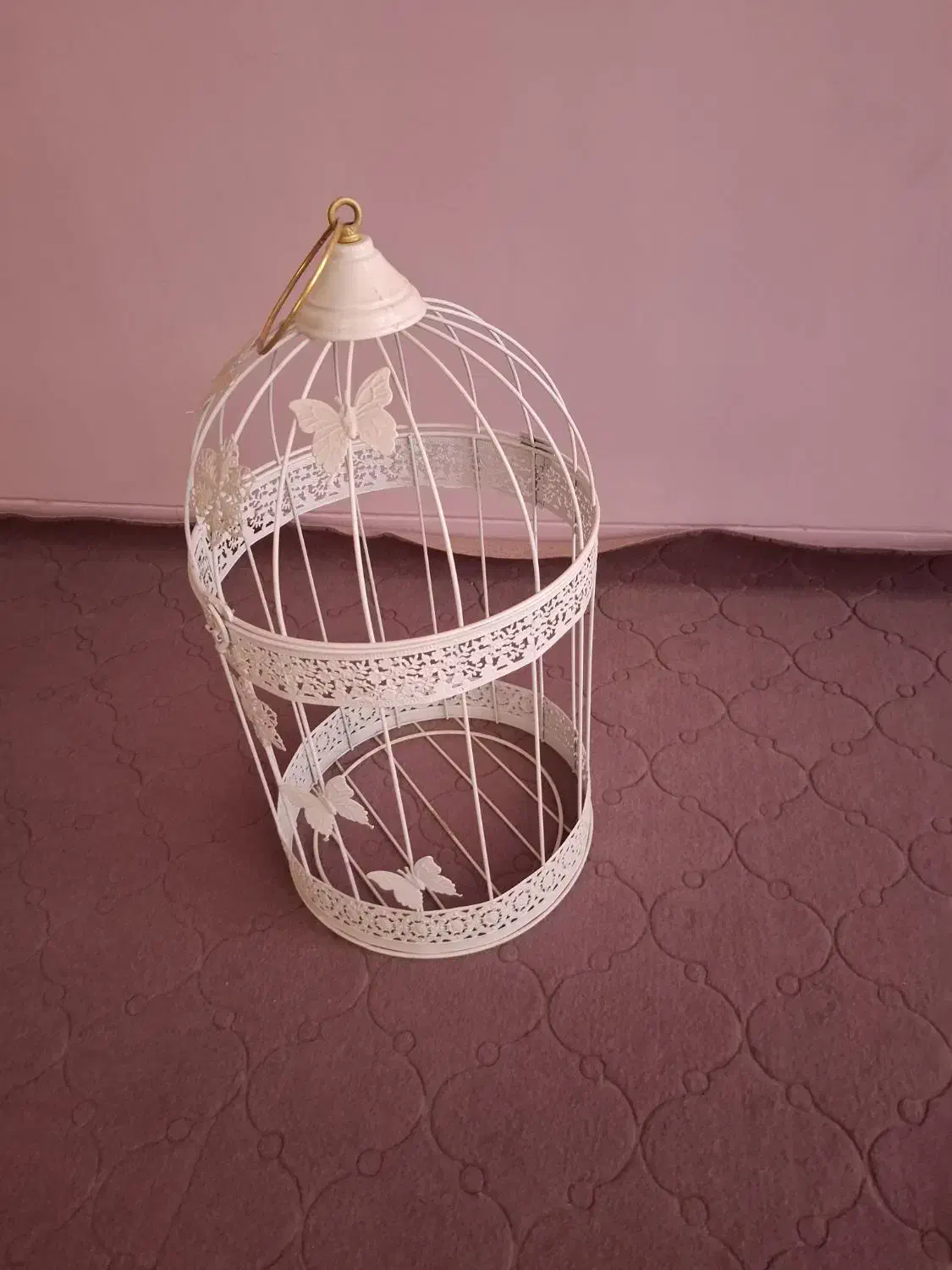 قفس گل|گل و گیاه طبیعی|یزد, |دیوار