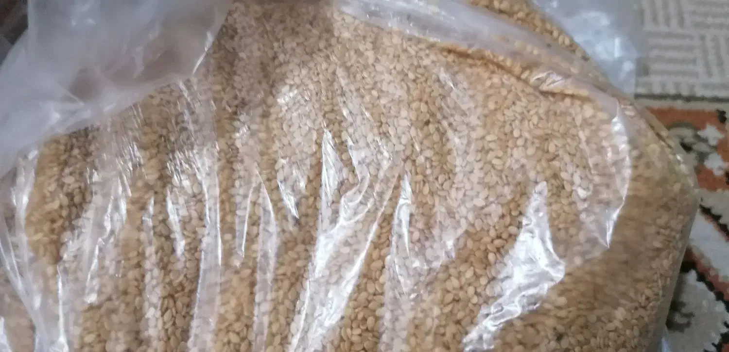 کنجد طلایی|خوردنی و آشامیدنی|شیراز, مهدی‌آباد|دیوار