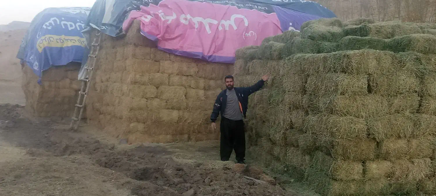 یونجه درجه یک خالص|خدمات باغبانی و درختکاری|قیدار, |دیوار