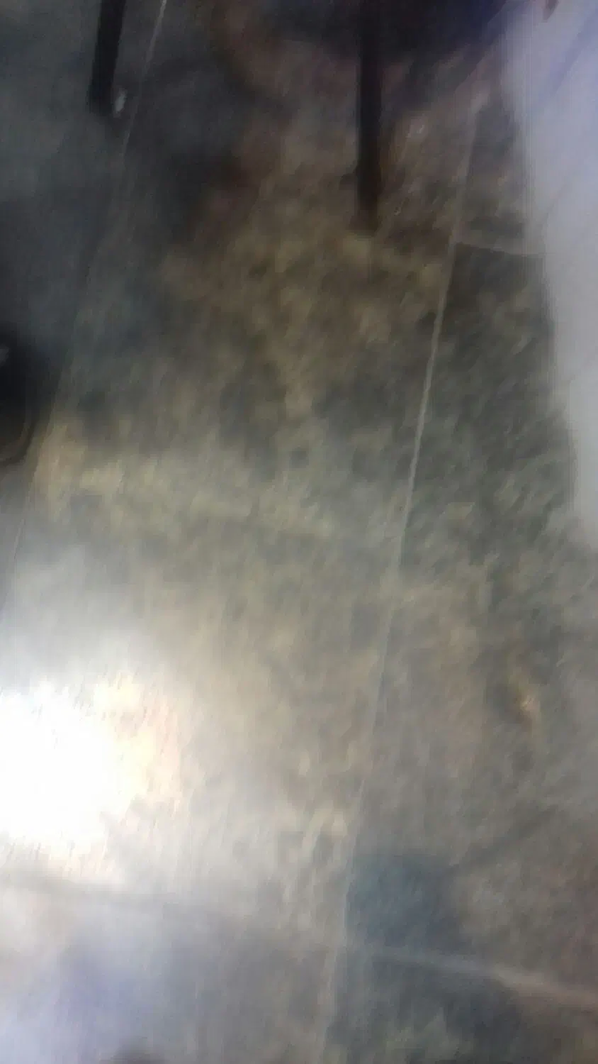 نظافت|خدمات نظافت|مرند, |دیوار