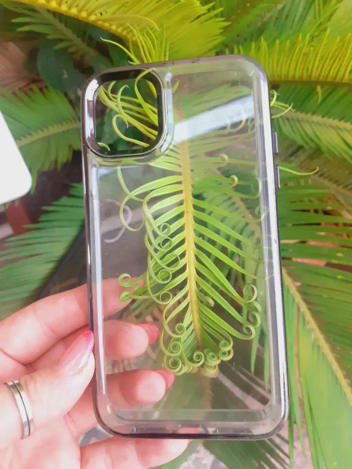 قاب ایفون11نرمال|لوازم جانبی موبایل و تبلت|رشت, حمیدیان|دیوار