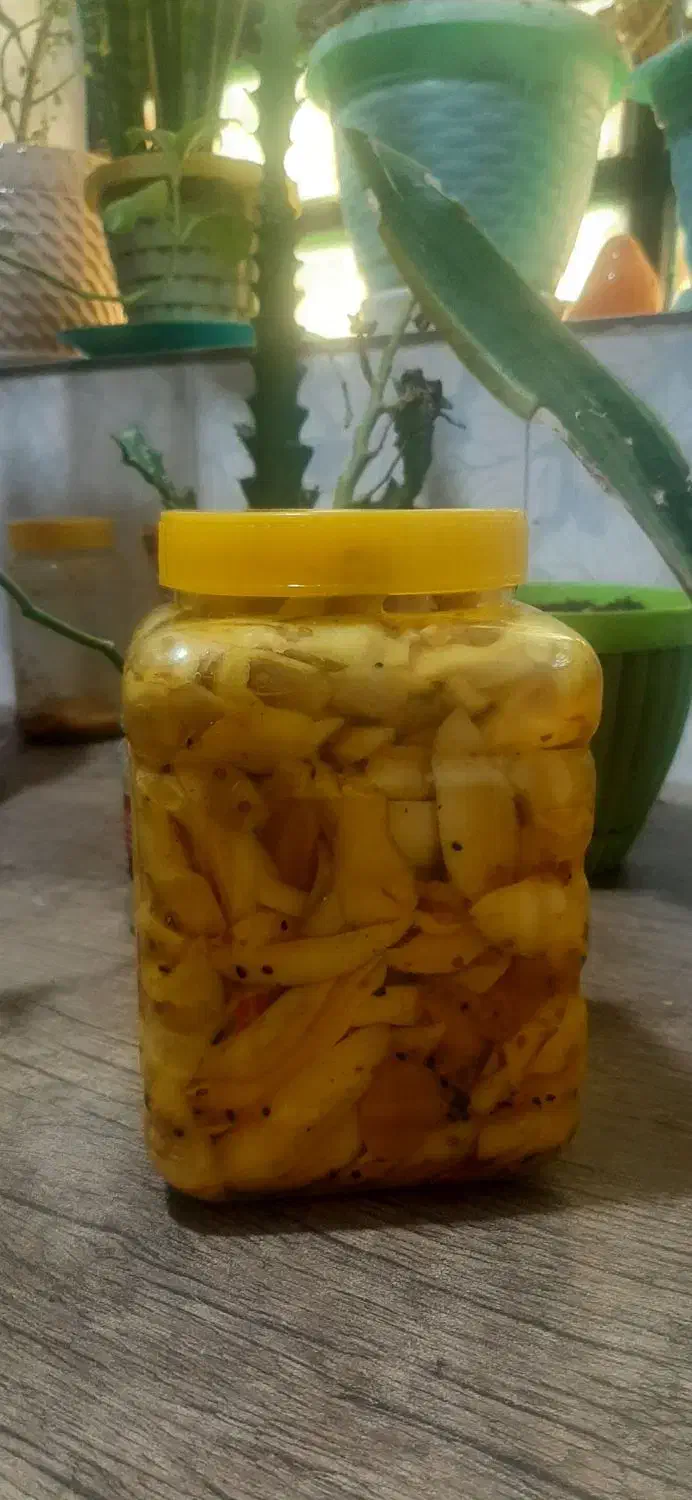 ترشی انبه با پر زردآلو|خوردنی و آشامیدنی|رودان, |دیوار