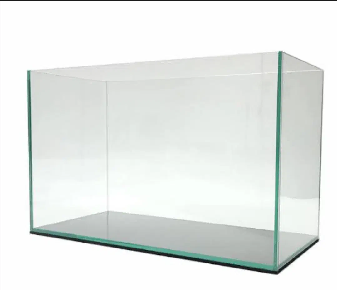 فروش آکواریم سایز کوچک|ماهی|اردبیل, |دیوار