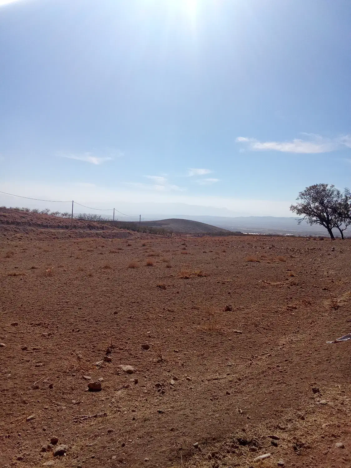 زمین گلخونه|فروش زمین و ملک کلنگی|چادگان, |دیوار