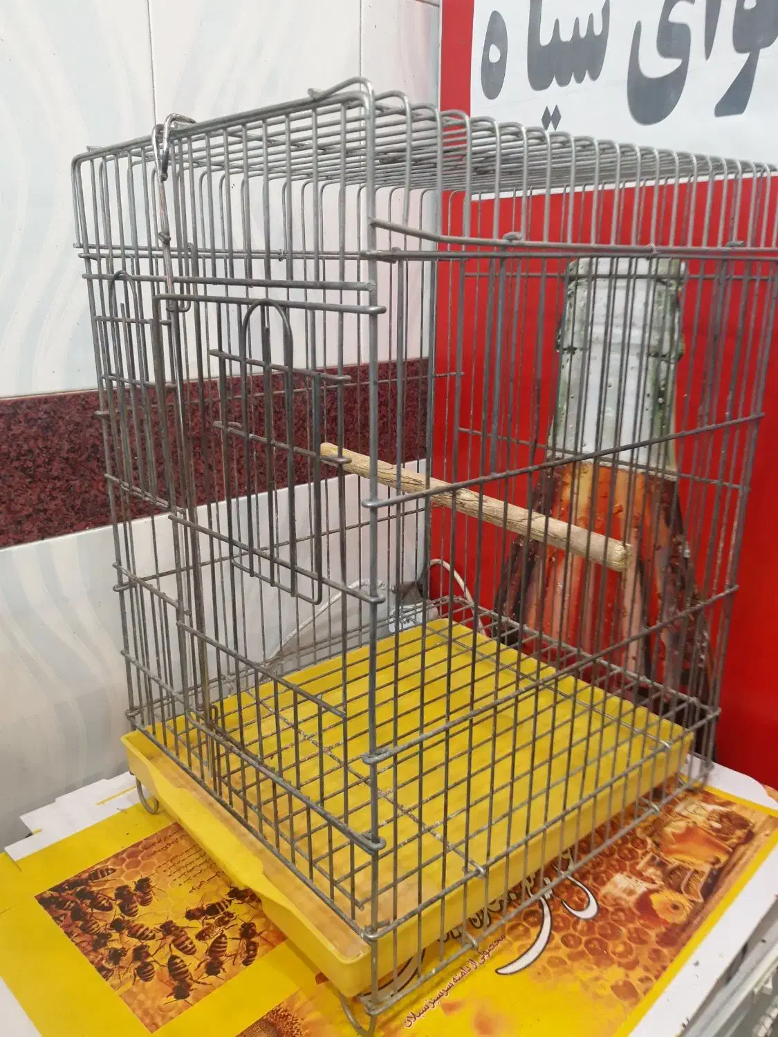 قفس طوطی بسیار سنگین صحیح سالم|لوازم جانبی حیوانات|اردبیل, |دیوار