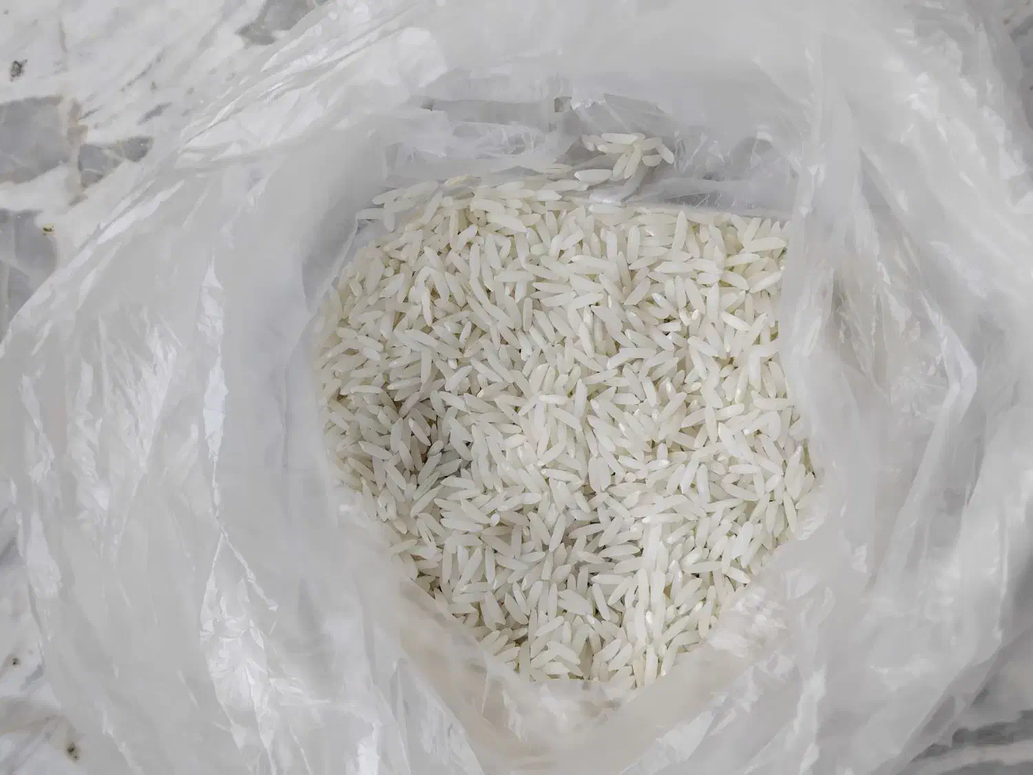 برنج طارم|خوردنی و آشامیدنی|کیاشهر, |دیوار