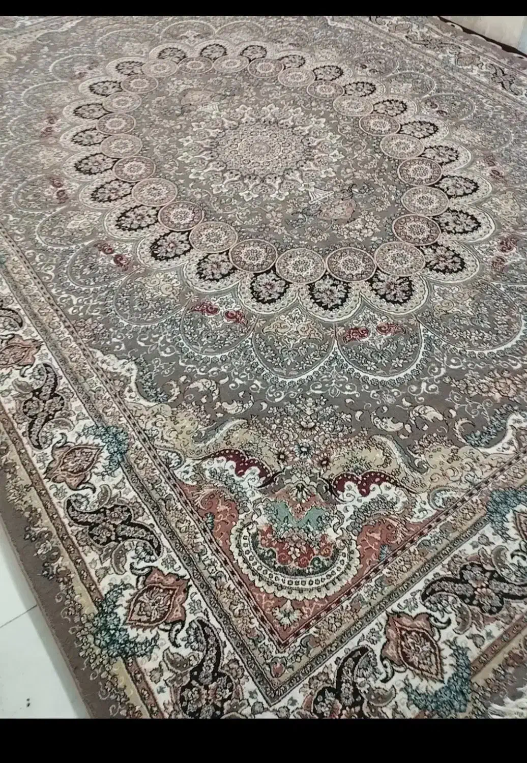 فروش فرش 12متری دوتخته رنگ گردوی|فرش|نیشابور, مازول|دیوار