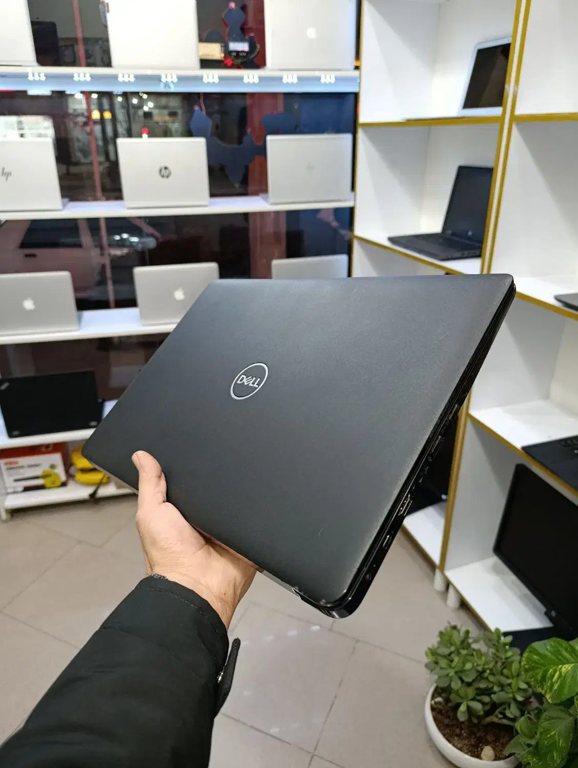 لپتاپ Dell Latitude 3500     نسل 8|رایانه همراه|نیشابور, امین اسلامی|دیوار