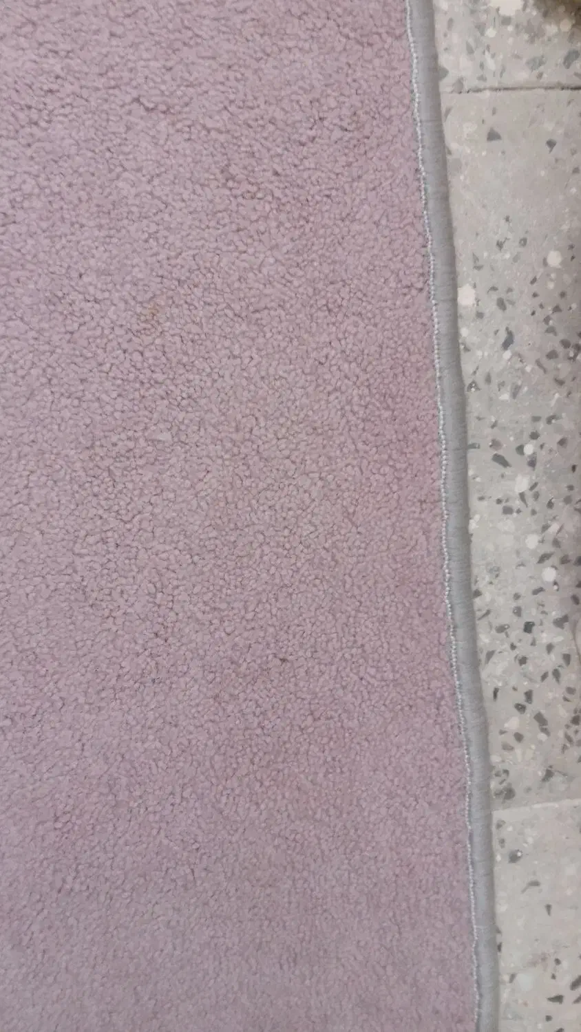 پالاز موکت|موکت|خرم‌آباد, |دیوار