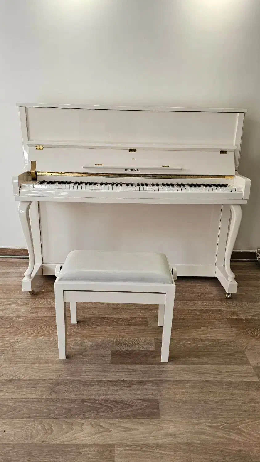 پیانو در حد صفر|پیانو، کیبورد، آکاردئون|تبریز, |دیوار