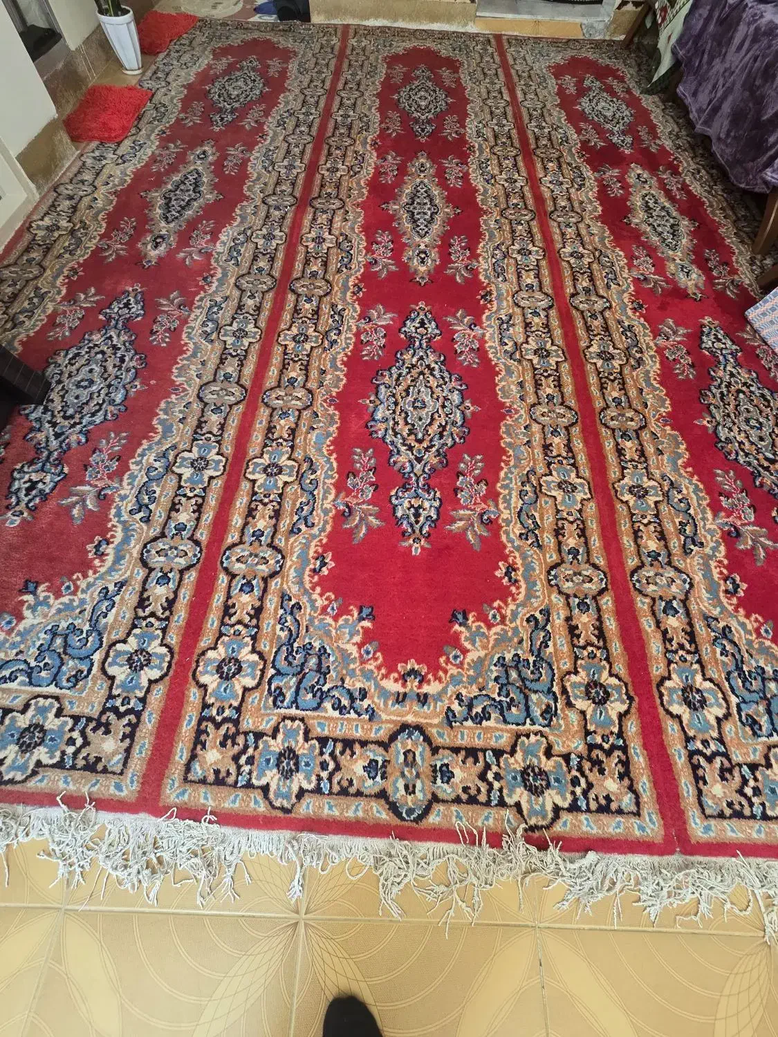فرش دست باف|فرش|کرمان, |دیوار