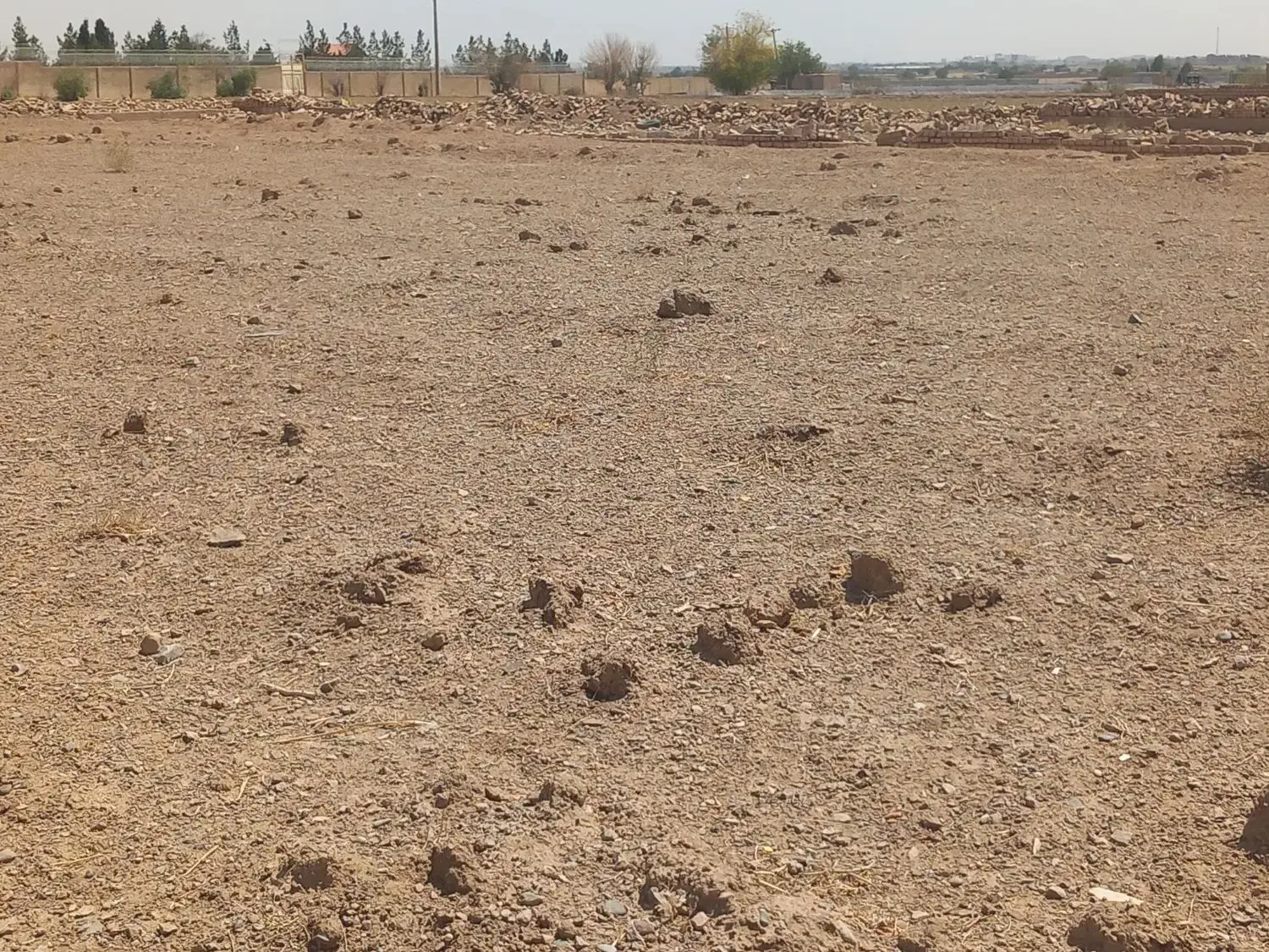 زمین کشاورزی|فروش دفتر صنعتی، کشاورزی، تجاری|اصفهان, سرشبادران|دیوار