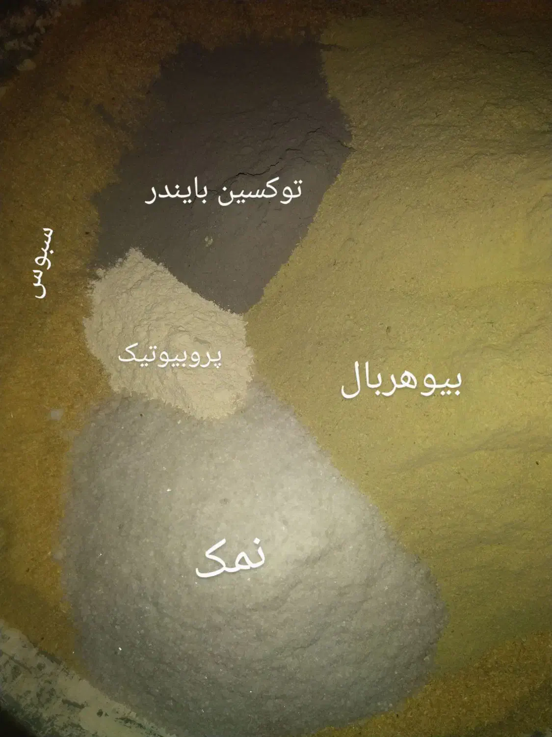 دان بوقلمون ، مرغ ، بلدرچین|لوازم جانبی حیوانات|کبودرآهنگ, |دیوار