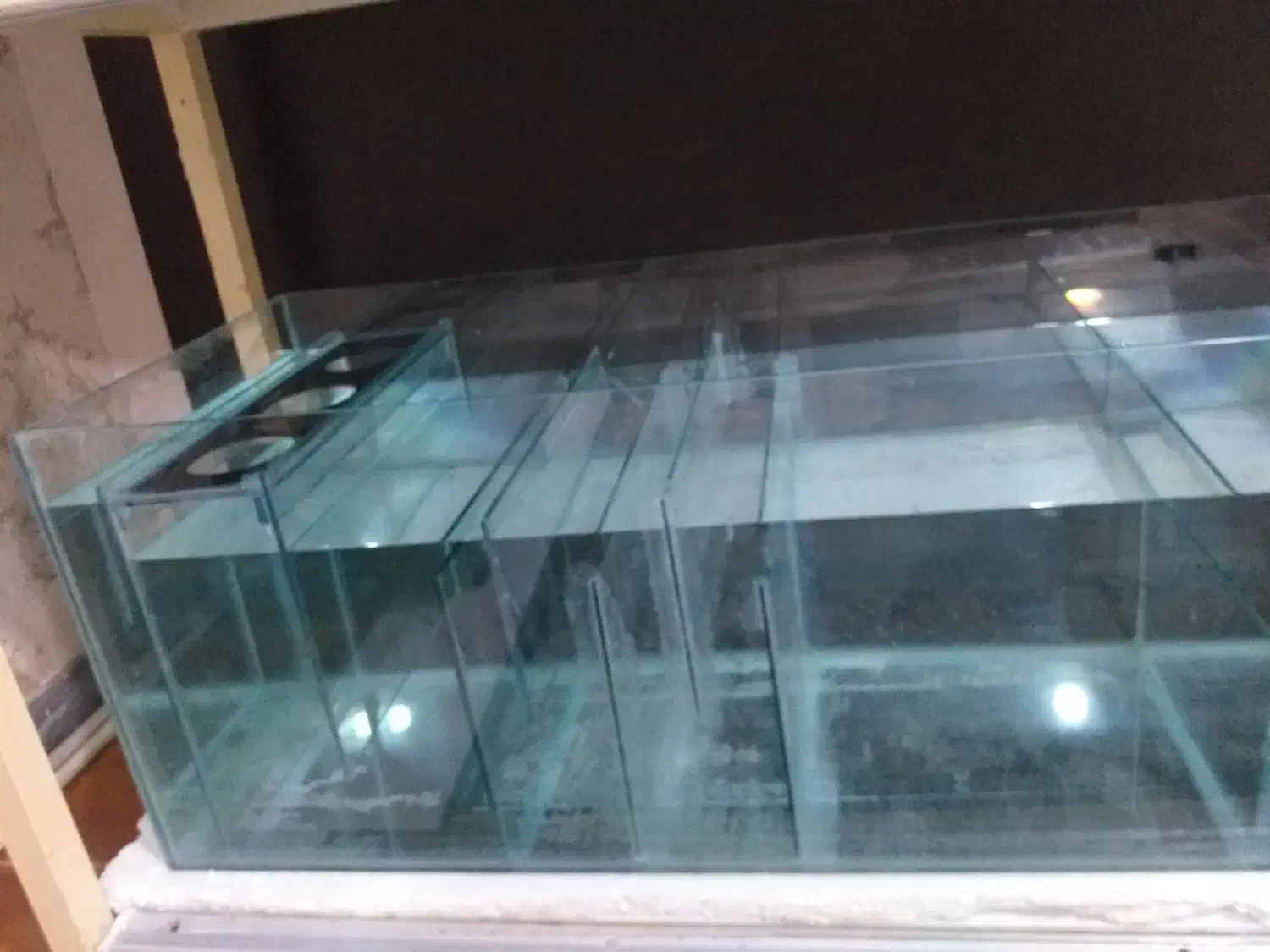 اکواریوم ۱۵ میل ابعاد ۱۷۰*۶۰*۶۰|ماهی|تهران, هفده شهریور|دیوار