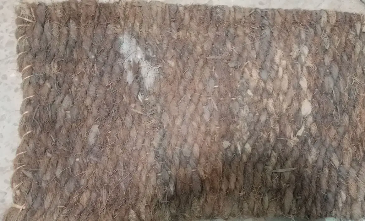 پادری|پادری|یزد, |دیوار