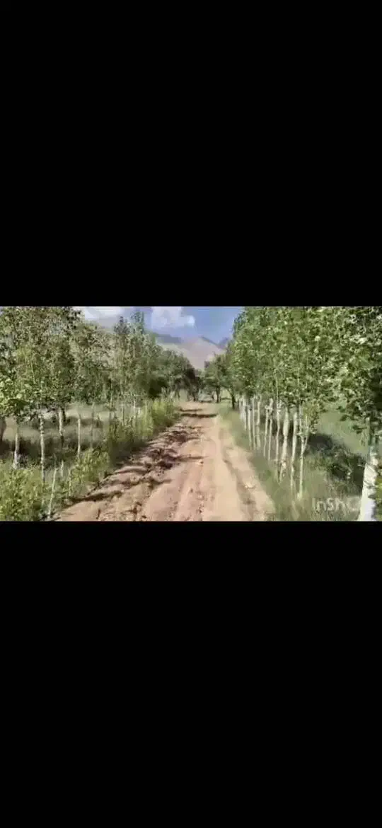 زمین 2 هکتار فریدن|فروش زمین و ملک کلنگی|زنده رود, |دیوار