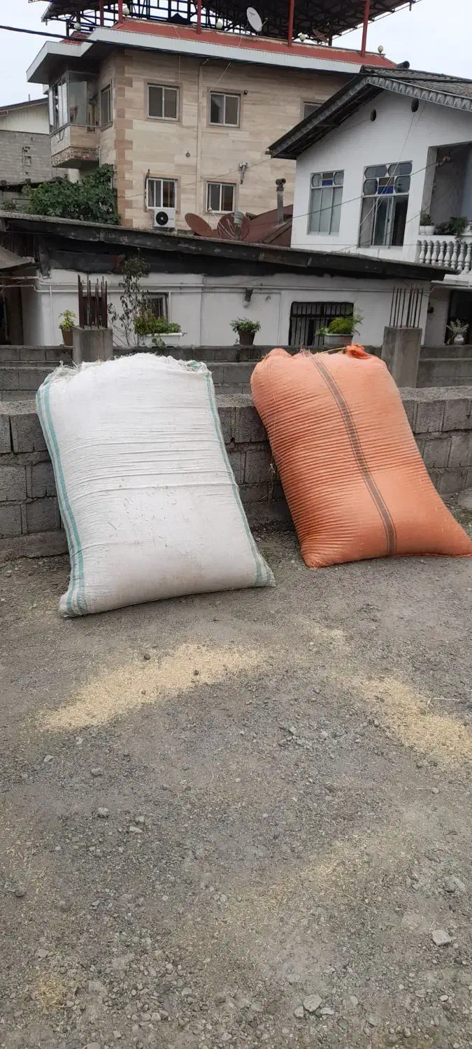 فروش کاه نخوددیم کوردستان|خدمات باغبانی و درختکاری|دالخانی, |دیوار