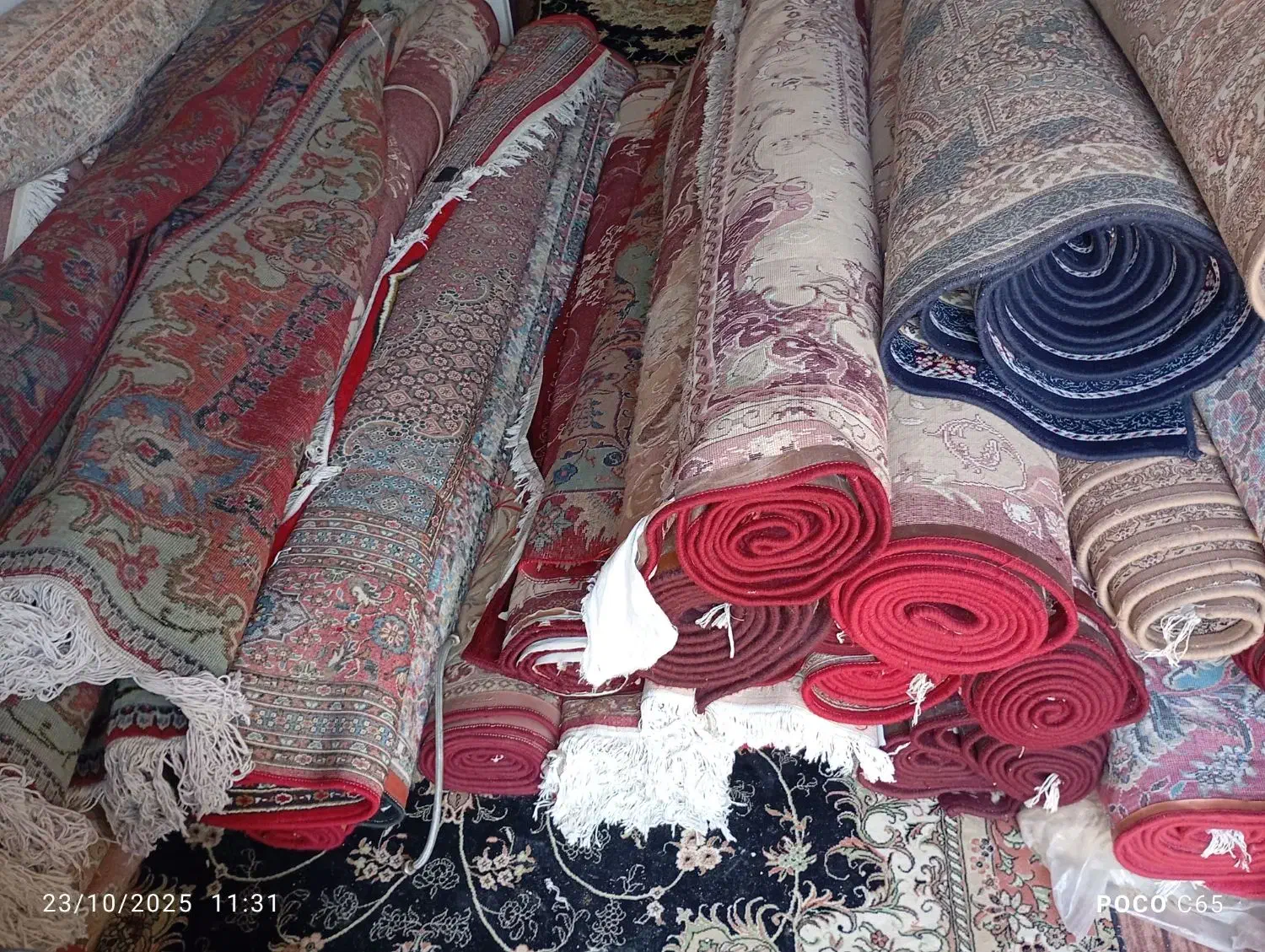 فروش انواع فرش دست دوم|فرش|کوه چنار, |دیوار