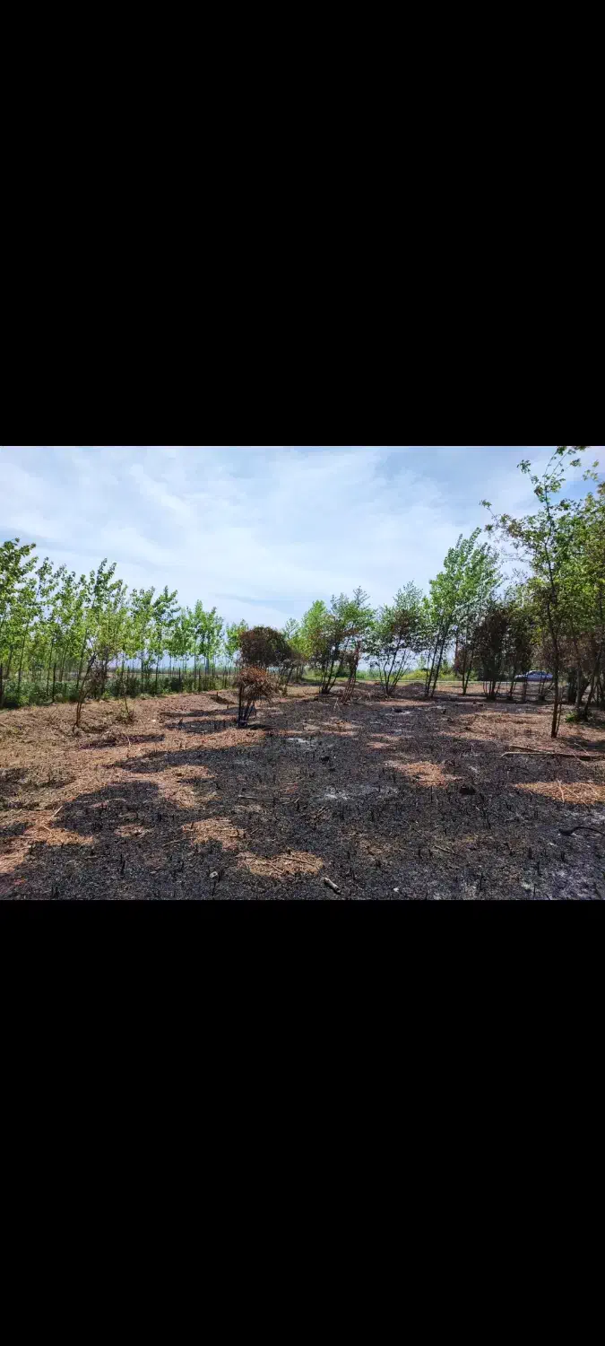 فروش زمین داخل طرح|فروش زمین و ملک کلنگی|رودبنه, |دیوار