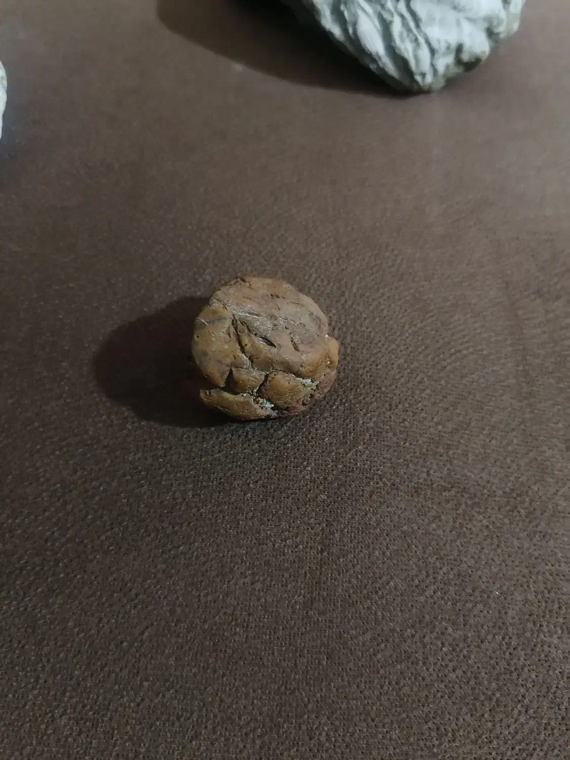 تعدادی سنگ فسیل|جواهرات|کازرون, |دیوار