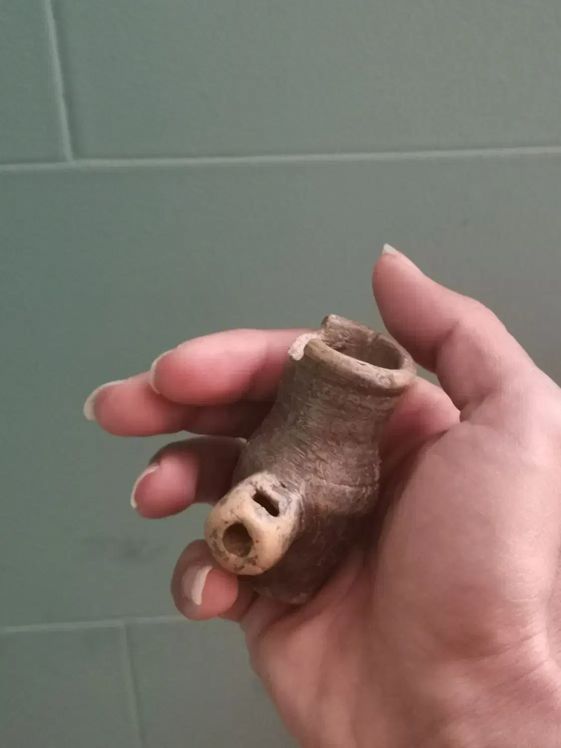 عتیقه|کلکسیون اشیاء عتیقه|مشهد, امام خمینی|دیوار