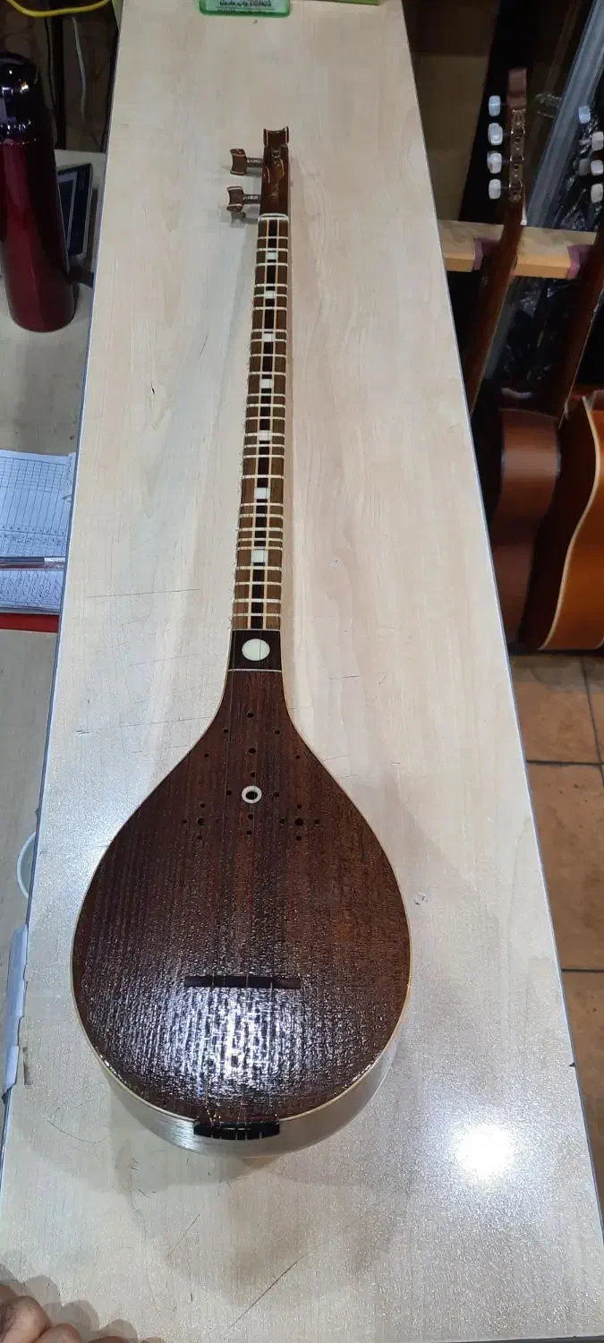 سه تار شیخ کاسه گردو|سازهای سنتی|شیراز, ارم|دیوار