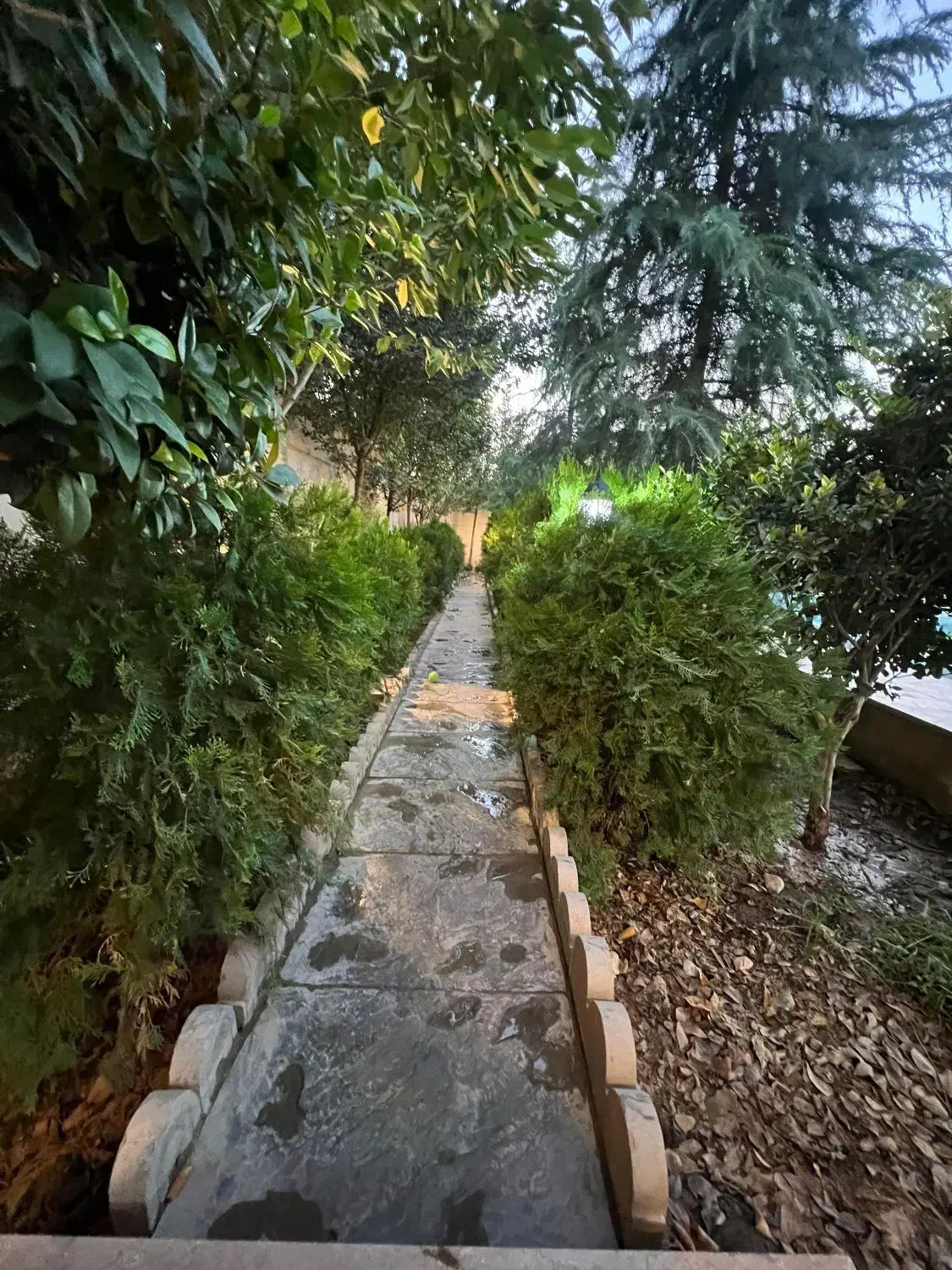 زعفرانیه کلنگی ۱۵۰۰ متری|فروش زمین و ملک کلنگی|تهران, زعفرانیه|دیوار