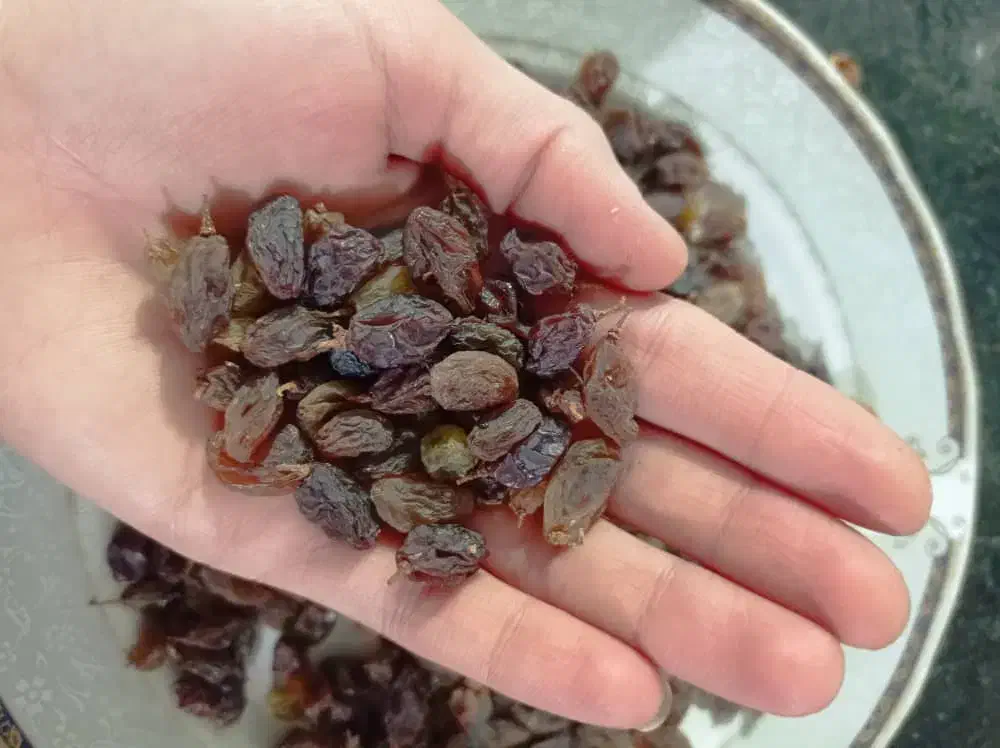 کشمش اورگانیک|خوردنی و آشامیدنی|یاسوج, |دیوار