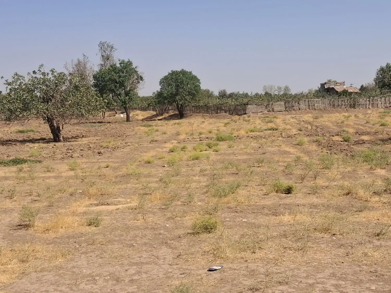 زمین زراعی ، نزدیک شهر|فروش زمین و ملک کلنگی|قزوین, |دیوار