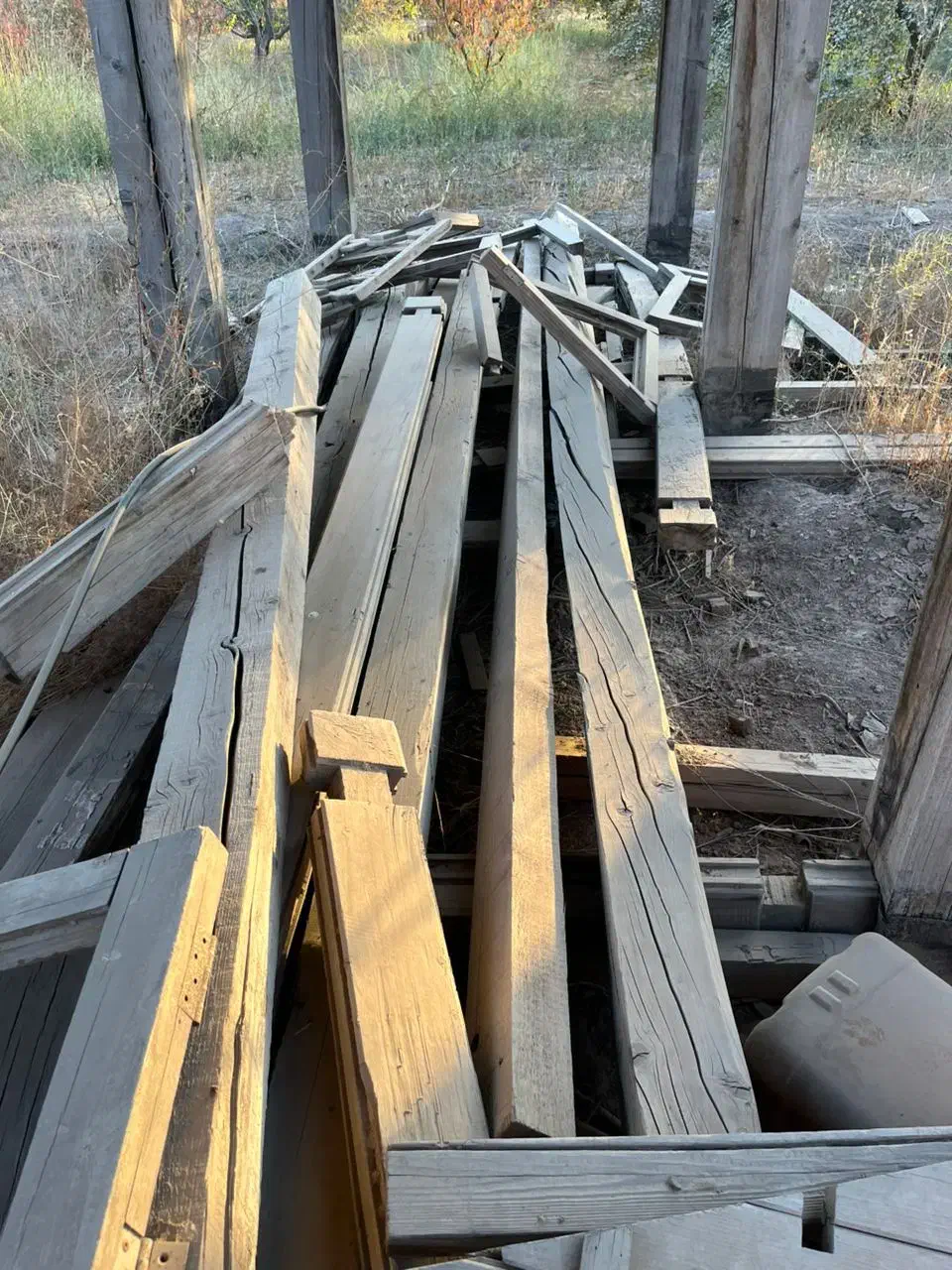 سلام خریدار چوب به بالاترین قیمت تسویه پای باسکول|خدمات باغبانی و درختکاری|نظرآباد, رسالت|دیوار