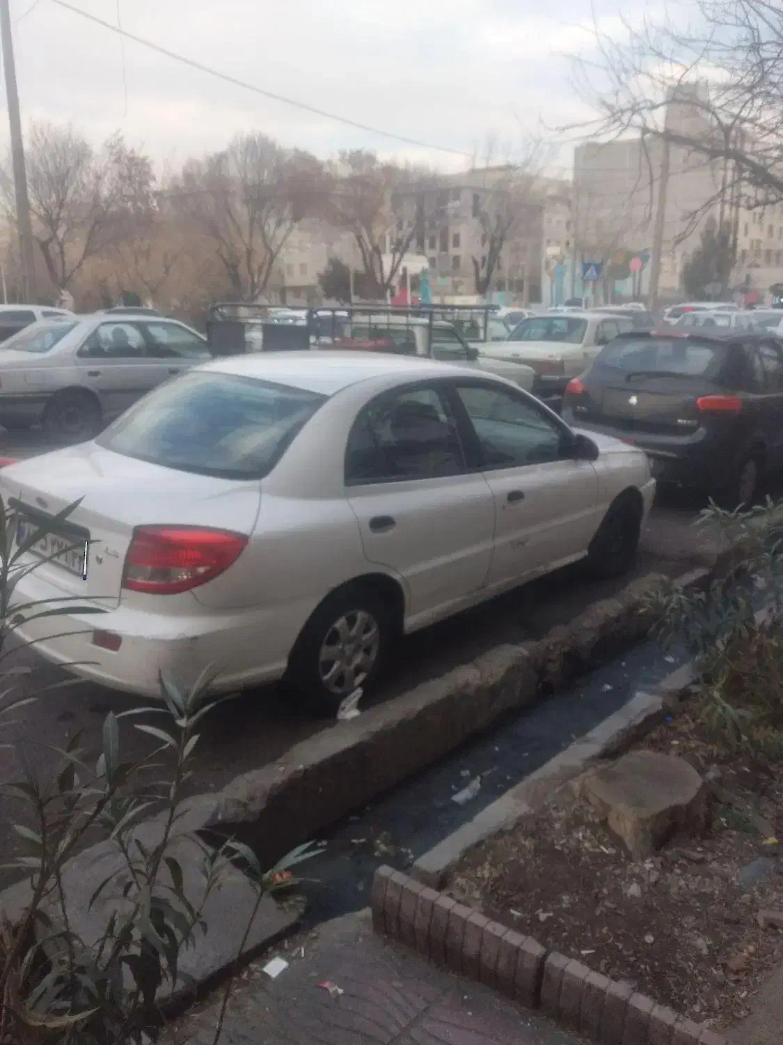 ریو|خودرو سواری و وانت|تهران, دولاب|دیوار