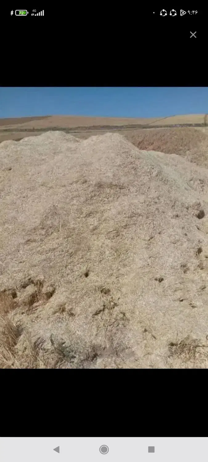 کاه نرم وتمیزارسال باخاور|لوازم جانبی حیوانات|داران, |دیوار