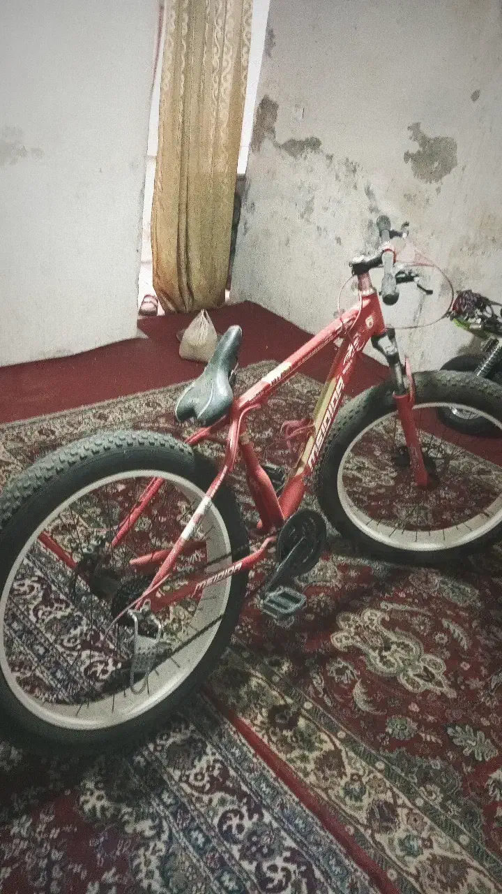 دوچرخه ساحلی سایز ۲۶|دوچرخه، اسکیت، اسکوتر|رباط‌کریم, الارد|دیوار