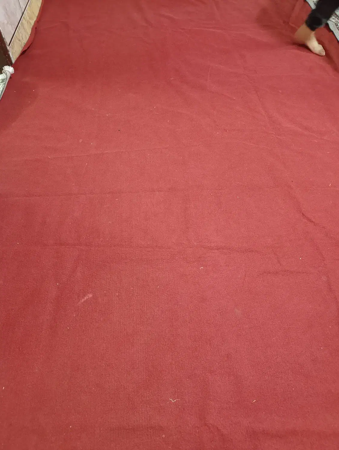 موکت 25متر|موکت|گرگان, |دیوار